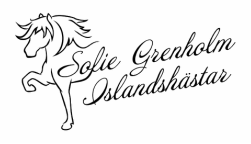 Sofie Grenholm Islandsh&auml;star - tr&auml;ning & utbildning